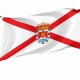 Valle de Santibáñez Flag for Indoor & Outdoor Use - Imagine 1