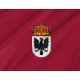 Flag of Aguilar de Campoo, Patriotic Flags, Unique Design Print, Flags for Indoor & Outdoor Use - Imagine 2