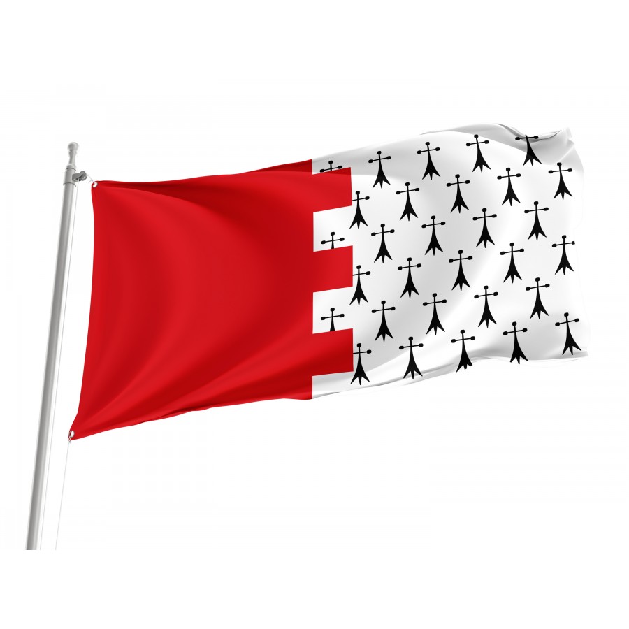 Flag Of Almanza, León, Patriotic Flags, Unique Design Print, Flags For Indoor & Outdoor Use - High Quality Castile and Leon for Indoor and Outdoor Use