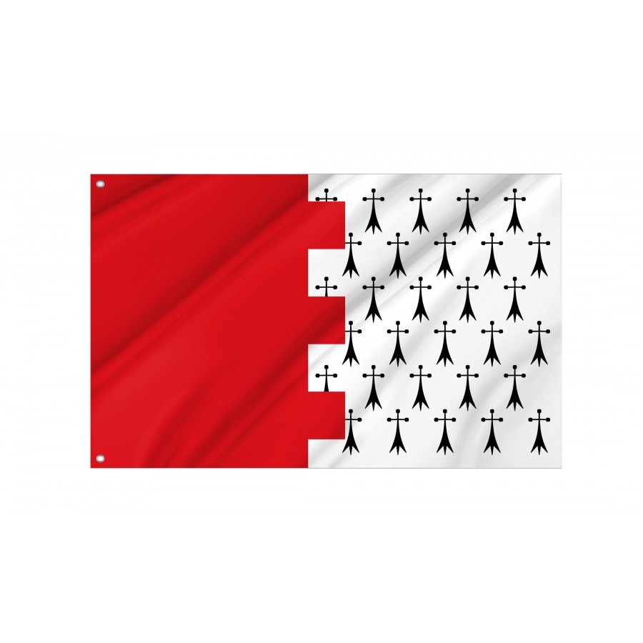 Flag Of Almanza, León, Patriotic Flags, Unique Design Print, Flags For Indoor & Outdoor Use - High Quality Castile and Leon for Indoor and Outdoor Use