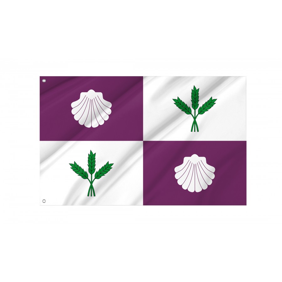 Flag Of El Burgo Ranero, León, Patriotic Flags, Unique Design Print, Flags For Indoor & Outdoor Use - High Quality Castile and Leon for Indoor and Outdoor Use