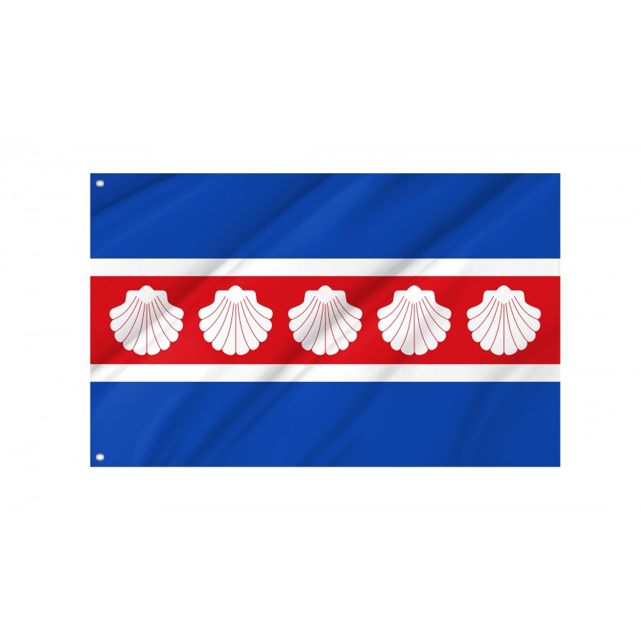 Flag Of Camponaraya, León, Patriotic Flags, Unique Design Print, Flags For Indoor & Outdoor Use - High Quality Castile and Leon for Indoor and Outdoor Use
