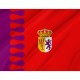 Cañaveral de León Flag for Indoor & Outdoor Use - Imagine 2