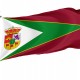 Flag of Izagre, Leon, Spain, Patriotic Flags, Unique Design Print, Flags for Indoor & Outdoor Use - Imagine 1