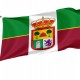 Fuentes de Carbajal Flag for Indoor & Outdoor Use - Imagine 1