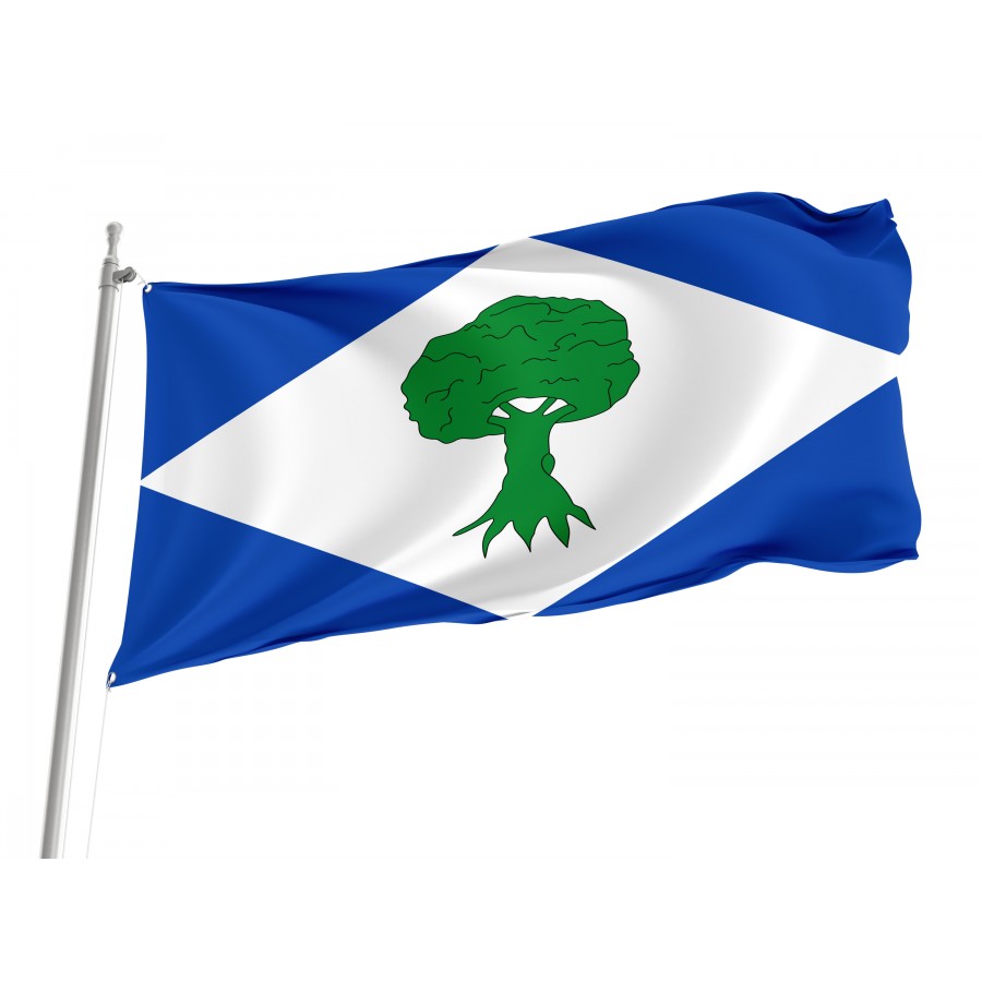 Flag Of Noceda Del Bierzo, León, Patriotic Flags, Unique Design Print, Flags For Indoor & Outdoor Use - High Quality Castile and Leon for Indoor and Outdoor Use