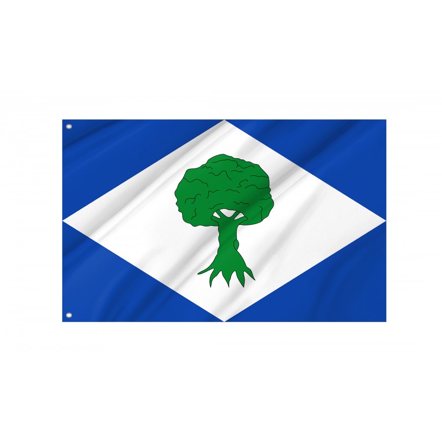 Flag Of Noceda Del Bierzo, León, Patriotic Flags, Unique Design Print, Flags For Indoor & Outdoor Use - High Quality Castile and Leon for Indoor and Outdoor Use
