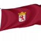 Province of León Flag for Indoor & Outdoor Use - Imagine 1
