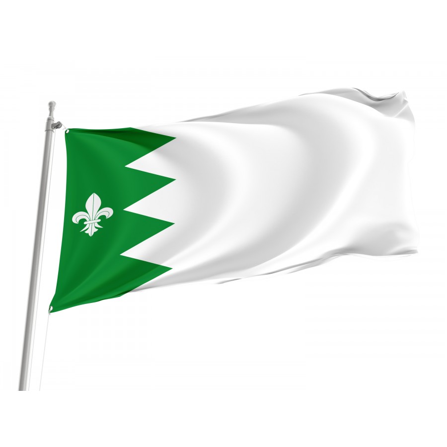 Flag Of Puebla De Lillo, León, Patriotic Flags, Unique Design Print, Flags For Indoor & Outdoor Use - High Quality Castile and Leon for Indoor and Outdoor Use