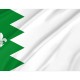Flag of Puebla de Lillo, León, Patriotic Flags, Unique Design Print, Flags for Indoor & Outdoor Use - Imagine 2