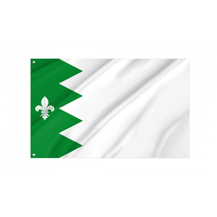 Flag Of Puebla De Lillo, León, Patriotic Flags, Unique Design Print, Flags For Indoor & Outdoor Use - High Quality Castile and Leon for Indoor and Outdoor Use