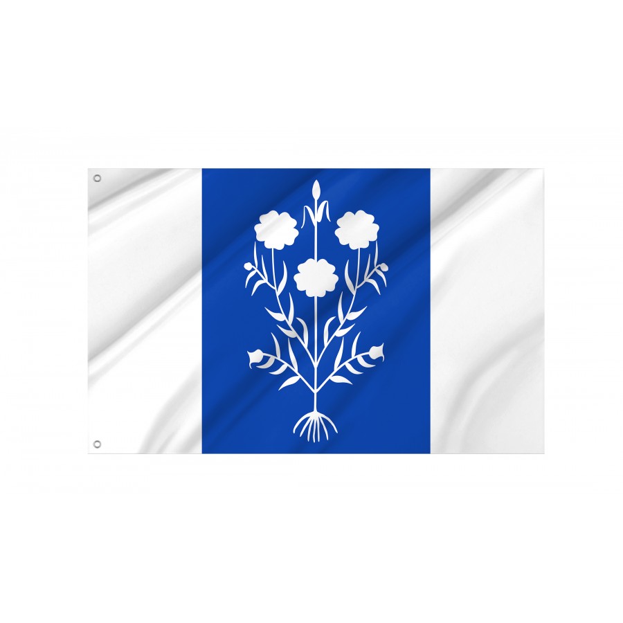 Flag Of Sancedo, León, Patriotic Flags, Unique Design Print, Flags For Indoor & Outdoor Use - High Quality Castile and Leon for Indoor and Outdoor Use