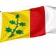 Espinosa de Villagonzalo Flag for Indoor & Outdoor Use - Imagine 1