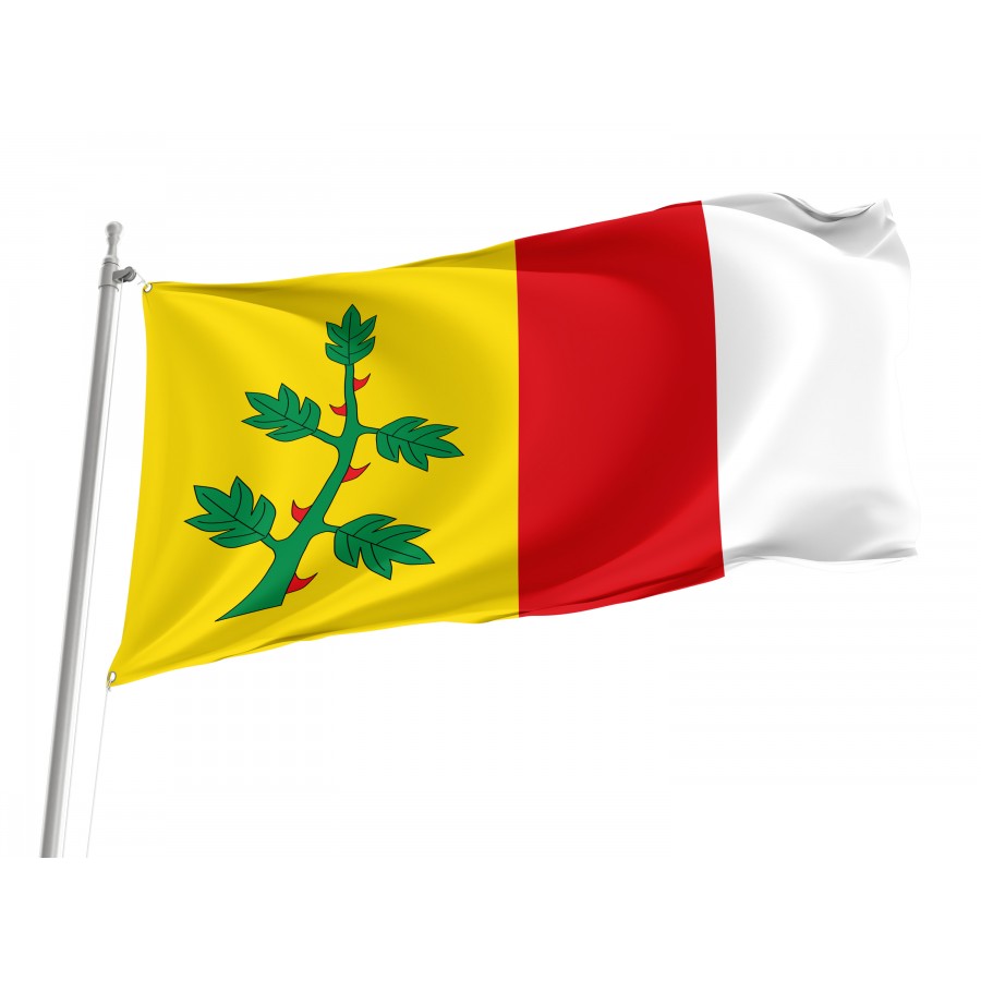 Flag Of Espinosa De Villagonzalo, Palencia, Patriotic Flags, Unique Design Print, Flags For Indoor & Outdoor Use - High Quality Castile and Leon for Indoor and Outdoor Use