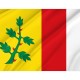 Espinosa de Villagonzalo Flag for Indoor & Outdoor Use - Imagine 2