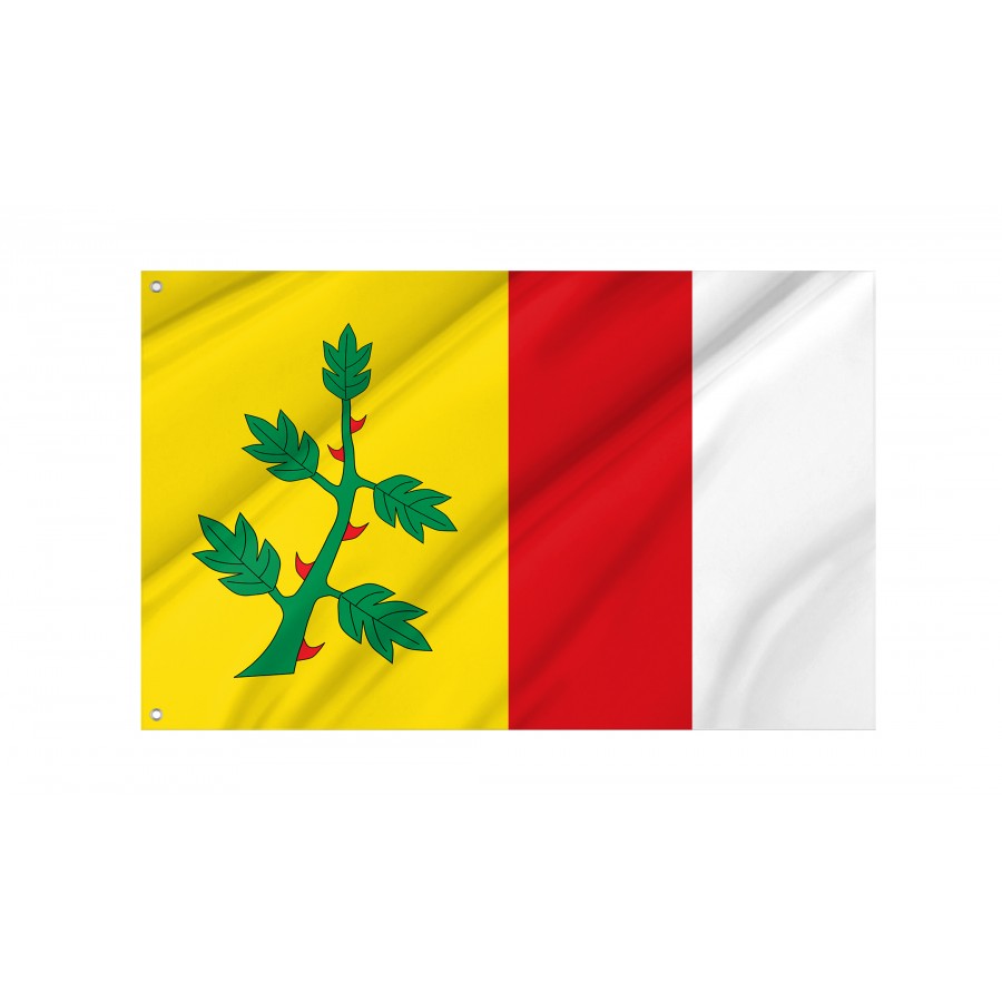 Flag Of Espinosa De Villagonzalo, Palencia, Patriotic Flags, Unique Design Print, Flags For Indoor & Outdoor Use - High Quality Castile and Leon for Indoor and Outdoor Use