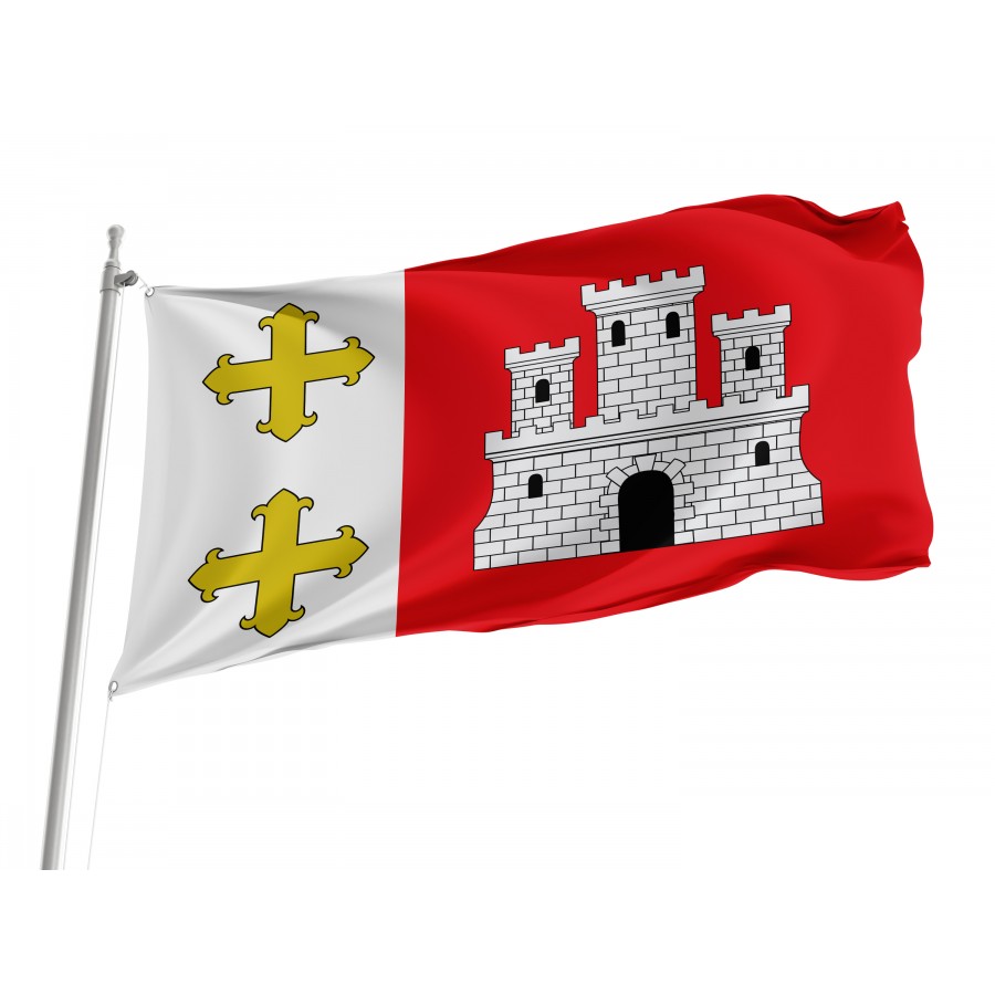 Flag Of Magaz De Pisuerga, Palencia Province, Spain, Patriotic Flags, Unique Design Print, Flags For Indoor & Outdoor Use - High Quality Castile and Leon for Indoor and Outdoor Use