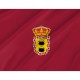 Flag of Paredes de Nava, Palencia, Patriotic Flags, Unique Design Print, Flags for Indoor & Outdoor Use - Imagine 2