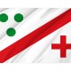 Flag of El Cubo del Vino, Zamora, Patriotic Flags, Unique Design Print, Flags for Indoor & Outdoor Use - Imagine 2