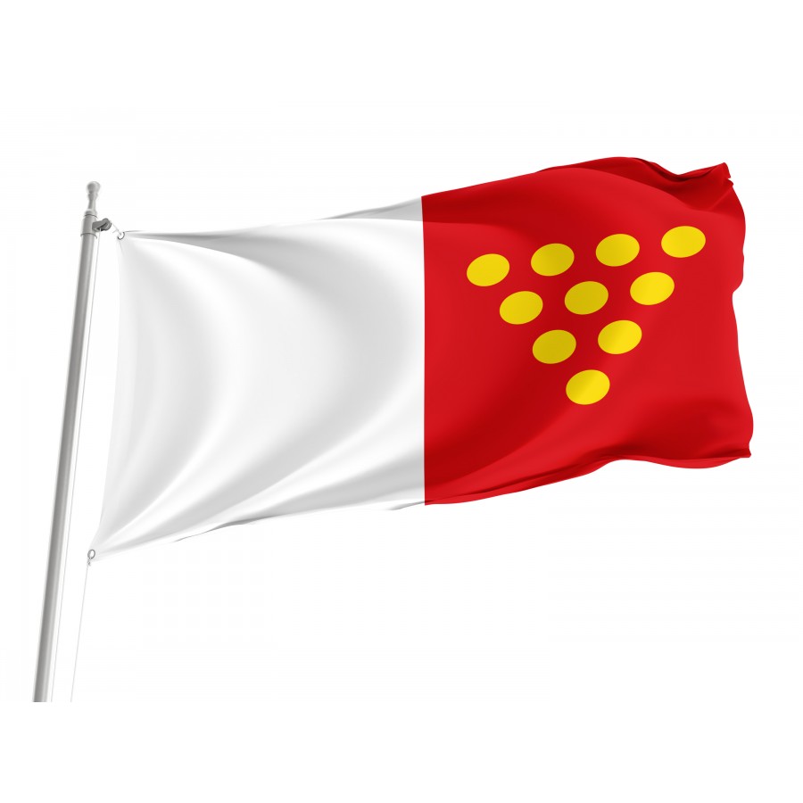 Flag Of Cotanes Del Monte, Zamora, Patriotic Flags, Unique Design Print, Flags For Indoor & Outdoor Use - High Quality Castile and Leon for Indoor and Outdoor Use
