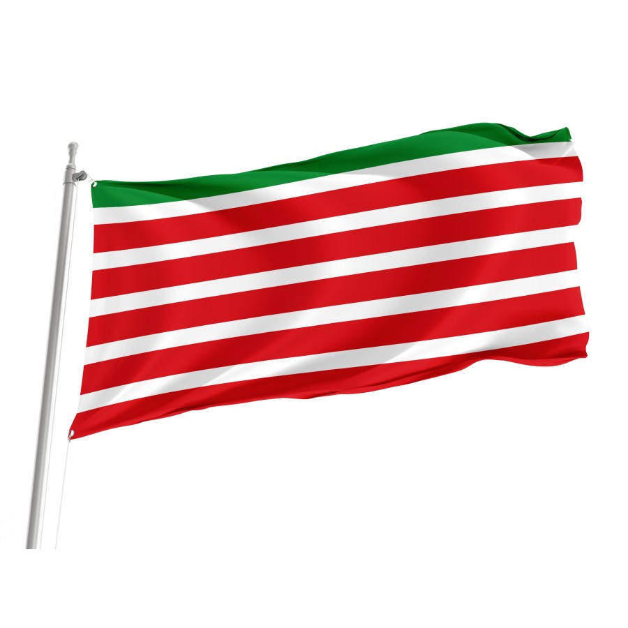 Flag Of Trabazos, Zamora, Patriotic Flags, Unique Design Print, Flags For Indoor & Outdoor Use - High Quality Castile and Leon for Indoor and Outdoor Use
