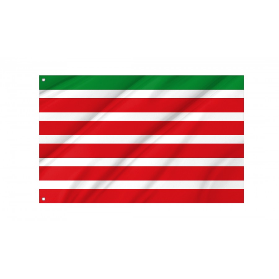 Flag Of Trabazos, Zamora, Patriotic Flags, Unique Design Print, Flags For Indoor & Outdoor Use - High Quality Castile and Leon for Indoor and Outdoor Use