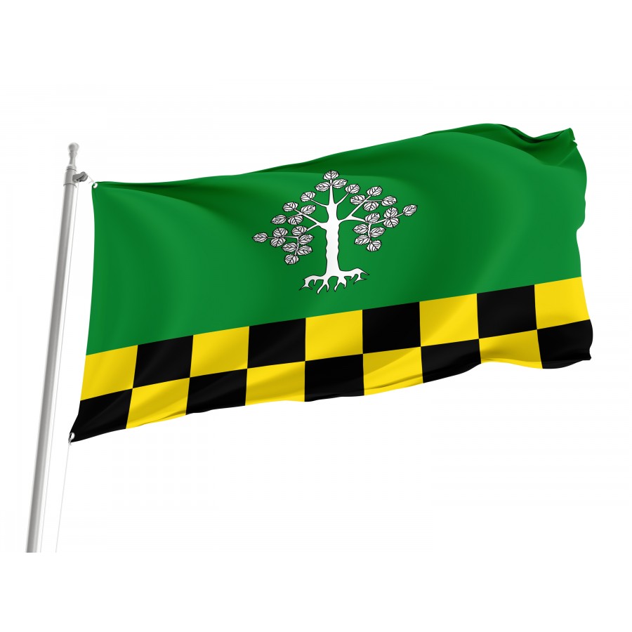 Flag Of Albesa, Lleida, Patriotic Flags, Unique Design Print, Flags For Indoor & Outdoor Use - High Quality Catalonia for Indoor and Outdoor Use