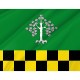Flag of Albesa, Lleida, Patriotic Flags, Unique Design Print, Flags for Indoor & Outdoor Use - Imagine 2