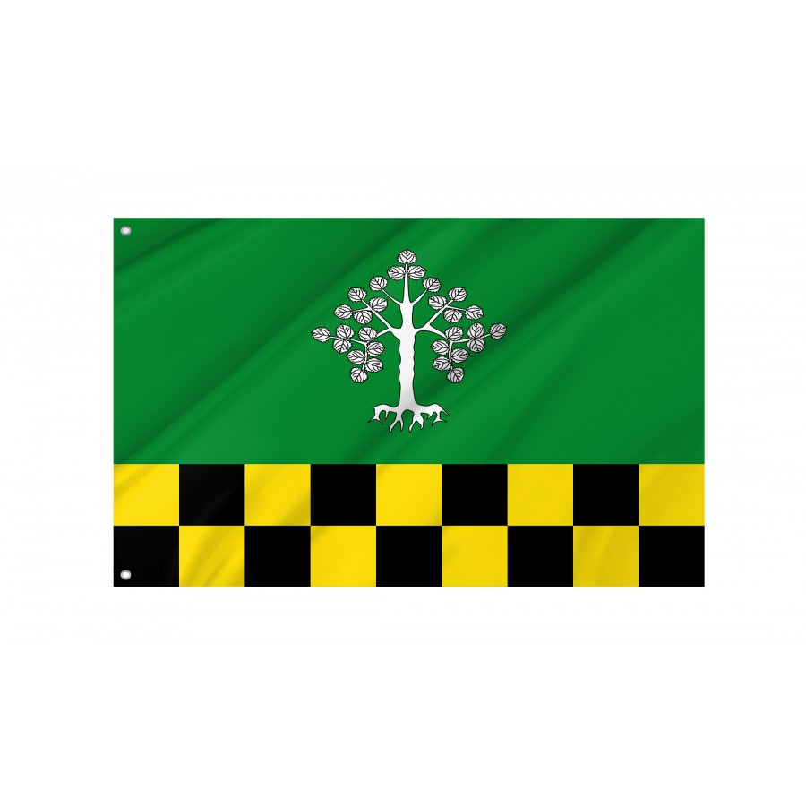 Flag Of Albesa, Lleida, Patriotic Flags, Unique Design Print, Flags For Indoor & Outdoor Use - High Quality Catalonia for Indoor and Outdoor Use
