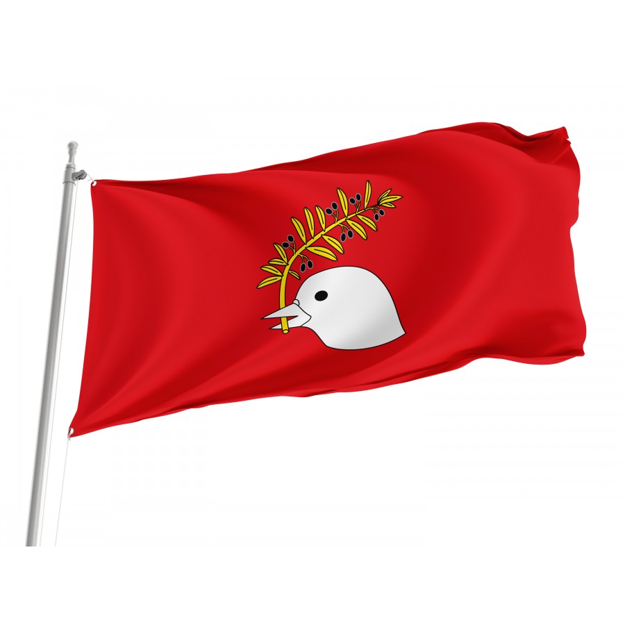 Flag Of Arms Of Arbeca, Lleida, Patriotic Flags, Unique Design Print, Flags For Indoor & Outdoor Use - High Quality Catalonia for Indoor and Outdoor Use