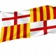 Flag of Barcelona City, Patriotic Flags, Unique Design Print, Flags for Indoor & Outdoor Use - Imagine 1