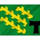 Flag of Els Pallaresos Tarragona, Catalonia, Patriotic Flags, Unique Design Print, Flags for Indoor & Outdoor Use - Imagine 2
