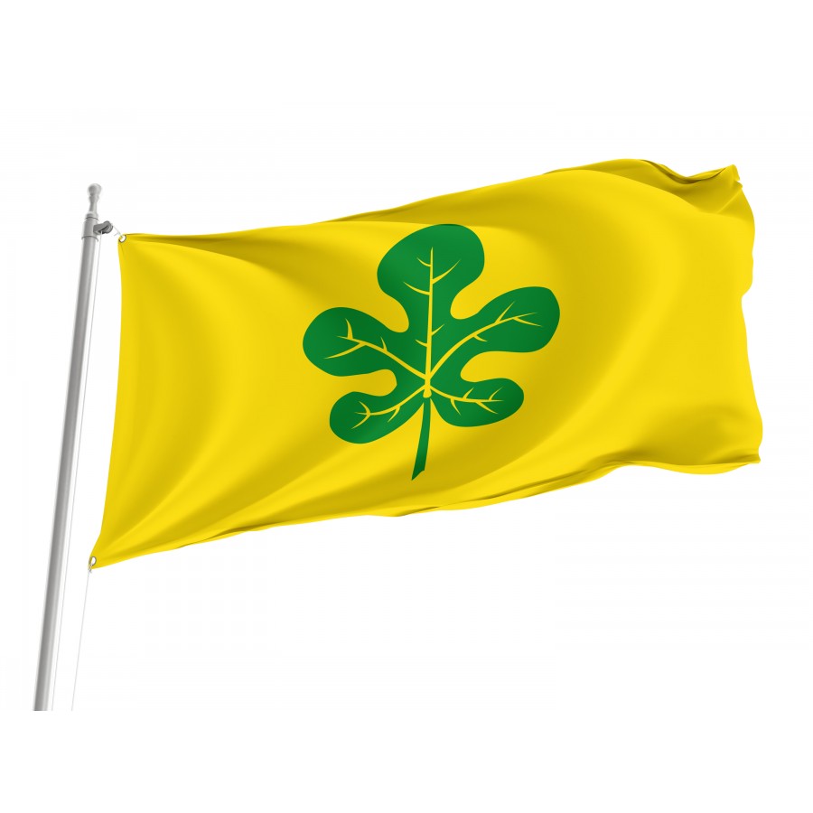 Flag Of Figuerola Del Camp, Lleida, Patriotic Flags, Unique Design Print, Flags For Indoor & Outdoor Use - High Quality Catalonia for Indoor and Outdoor Use