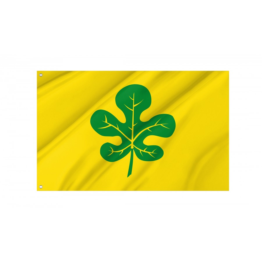 Flag Of Figuerola Del Camp, Lleida, Patriotic Flags, Unique Design Print, Flags For Indoor & Outdoor Use - High Quality Catalonia for Indoor and Outdoor Use