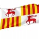 Flag of Cervera, Lleida, Patriotic Flags, Unique Design Print, Flags for Indoor & Outdoor Use - Imagine 1