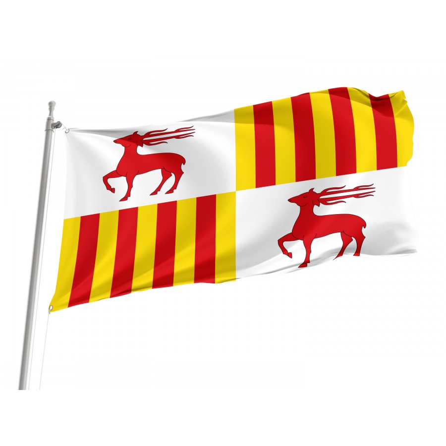 Flag Of Cervera, Lleida, Patriotic Flags, Unique Design Print, Flags For Indoor & Outdoor Use - High Quality Catalonia for Indoor and Outdoor Use