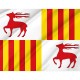 Flag of Cervera, Lleida, Patriotic Flags, Unique Design Print, Flags for Indoor & Outdoor Use - Imagine 2