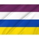 Forallac Flag for Indoor & Outdoor Use - Imagine 2