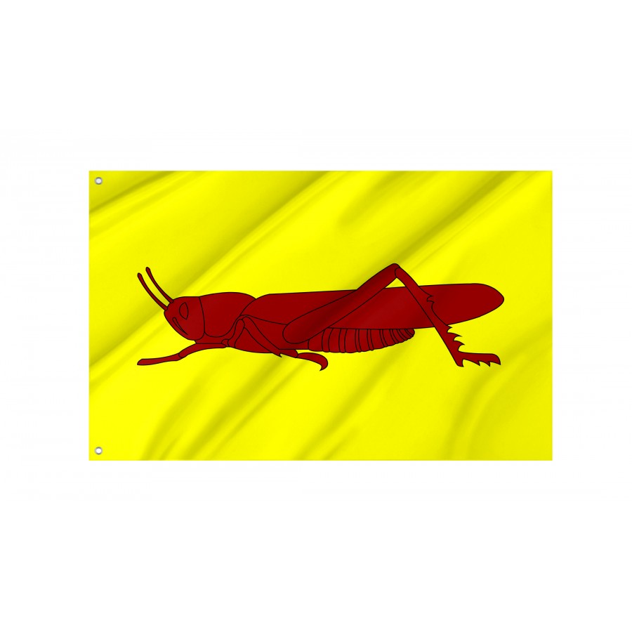 Flag Of La Llagosta Barcelona, Catalonia, Patriotic Flags, Unique Design Print, Flags For Indoor & Outdoor Use - High Quality Catalonia for Indoor and Outdoor Use