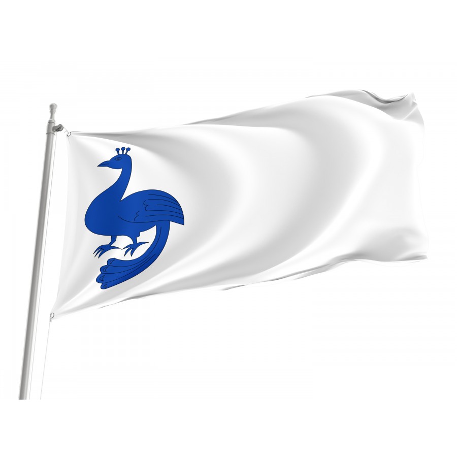 Flag Of Pau, Girona, Patriotic Flags, Unique Design Print, Flags For Indoor & Outdoor Use - High Quality Catalonia for Indoor and Outdoor Use