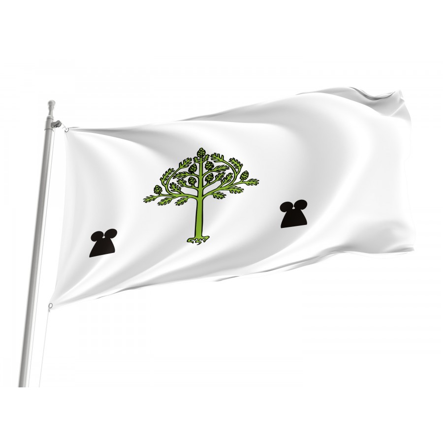 Flag Of Picamoixons, Tarragona, Patriotic Flags, Unique Design Print, Flags For Indoor & Outdoor Use - High Quality Catalonia for Indoor and Outdoor Use