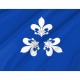Tremp Flag for Indoor & Outdoor Use - Imagine 2