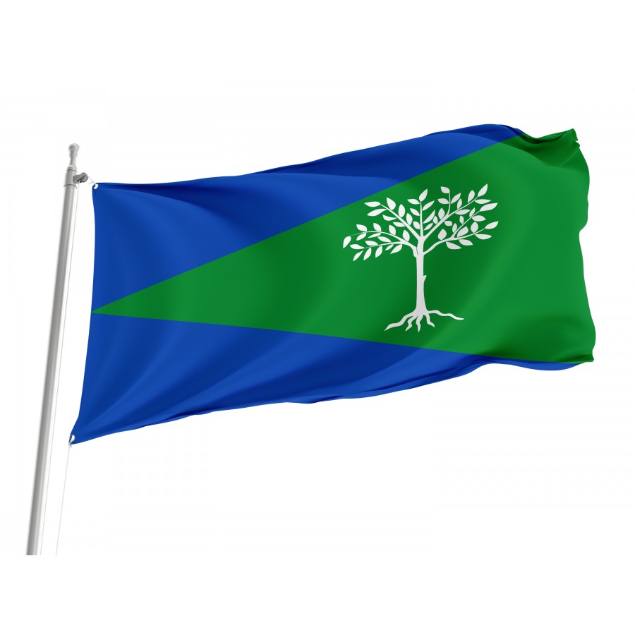 Flag Of Aliseda, Cáceres, Patriotic Flags, Unique Design Print, Flags For Indoor & Outdoor Use - High Quality Extremadura for Indoor and Outdoor Use