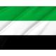Extremadura Flag for Indoor & Outdoor Use - Imagine 2