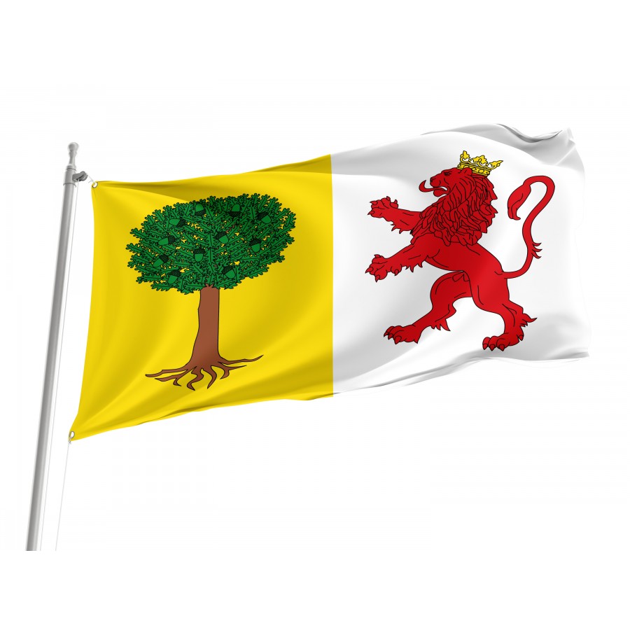 Flag Of Cabezuela Del Valle, Patriotic Flags, Unique Design Print, Flags For Indoor & Outdoor Use - High Quality Extremadura for Indoor and Outdoor Use