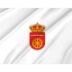 Alía Flag for Indoor & Outdoor Use - Imagine 2