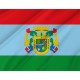 Flag of Alguazas, Patriotic Flags, Unique Design Print, Flags for Indoor & Outdoor Use - Imagine 2