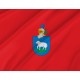 Ansoáin Red Flag for Indoor & Outdoor Use - Imagine 2