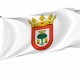 Olite Navarre Flag for Indoor & Outdoor Use - Imagine 1
