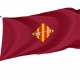 Flag of Alcira Patriotic Flags, Unique Design Print, Flags for Indoor & Outdoor Use - Imagine 1